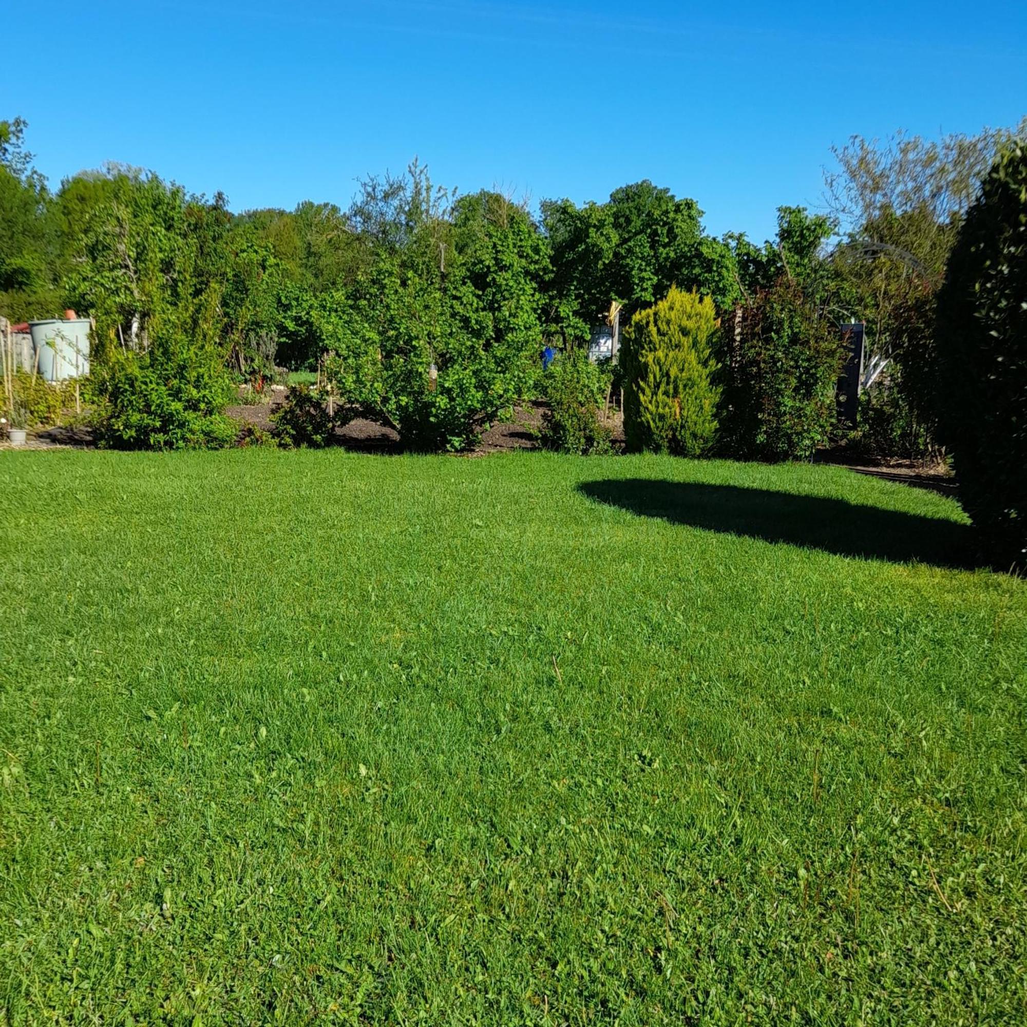 Les Abelias Bed and Breakfast Hauterive  Buitenkant foto