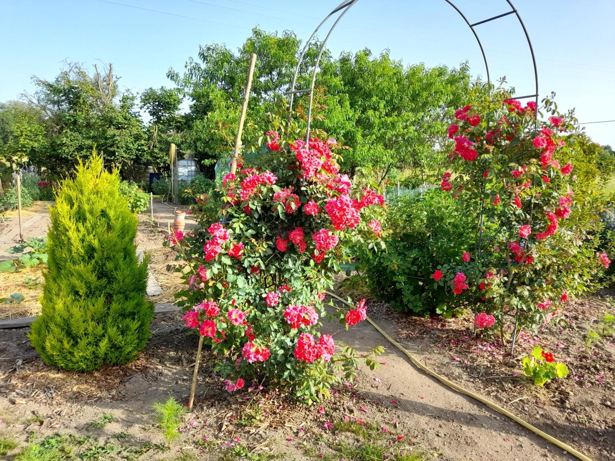 Les Abelias Bed and Breakfast Hauterive  Buitenkant foto