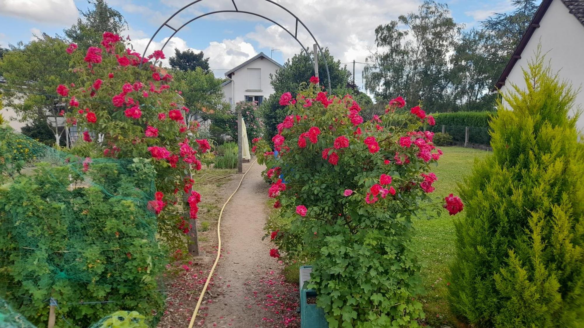 Les Abelias Bed and Breakfast Hauterive  Buitenkant foto